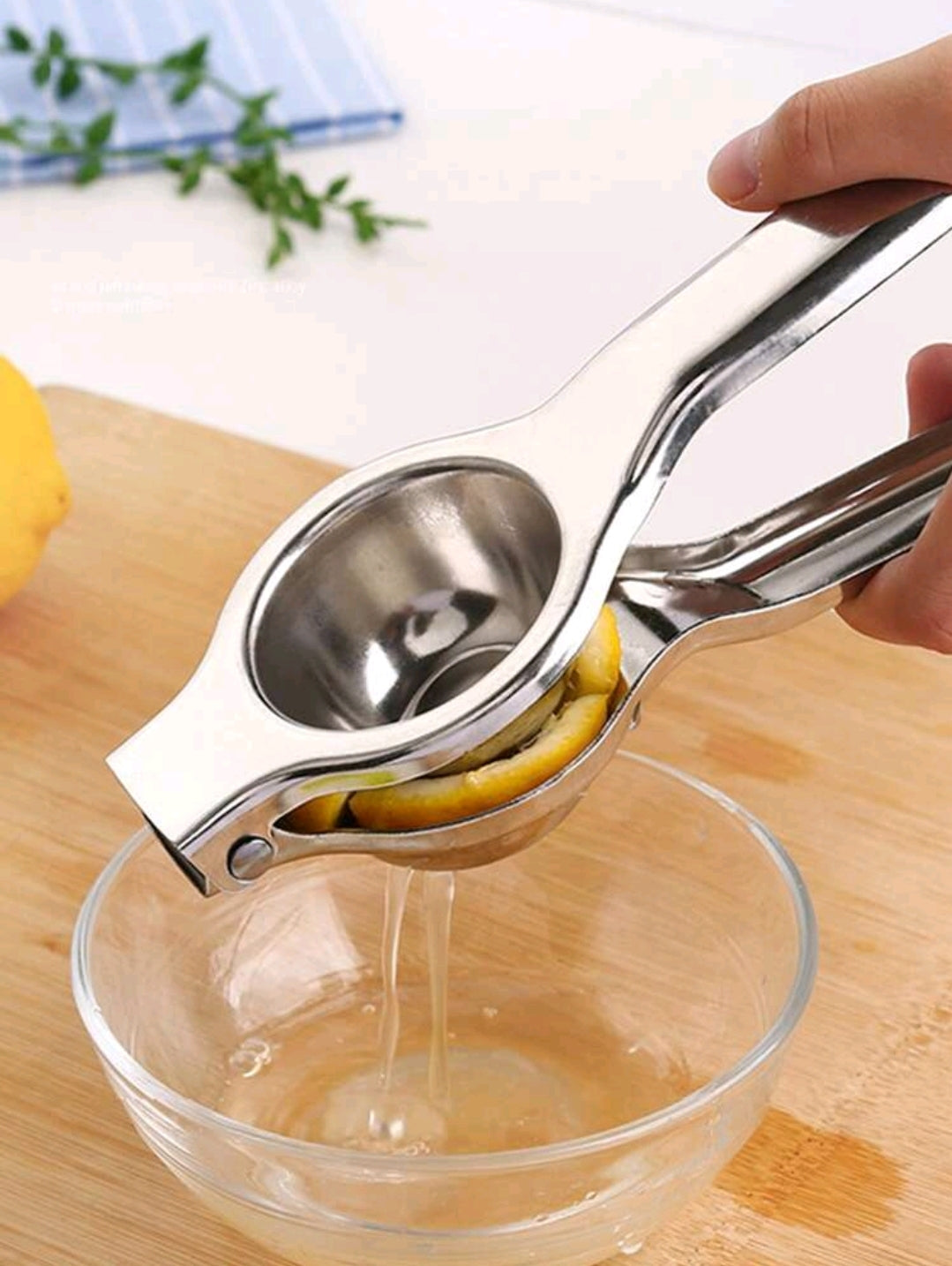 Stainless Steel Hand Press Juice Extractor.